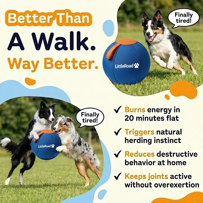 Dog Herding Ball Puncture-Resistant Pump Included