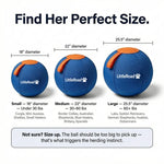 Dog Herding Ball Puncture-Resistant Pump Included