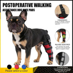 Dog Hind Leg Support Brace Stabilizing Recovery Support
