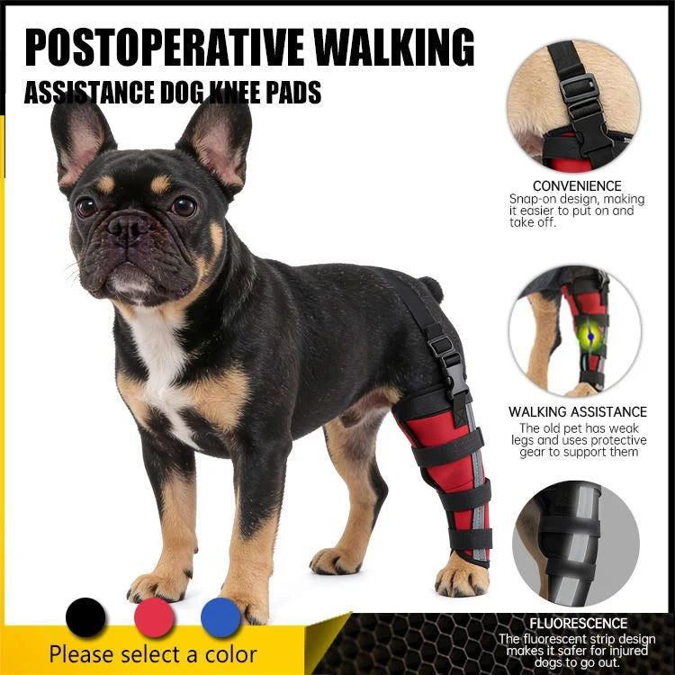 Dog Hind Leg Support Brace Stabilizing Recovery Support