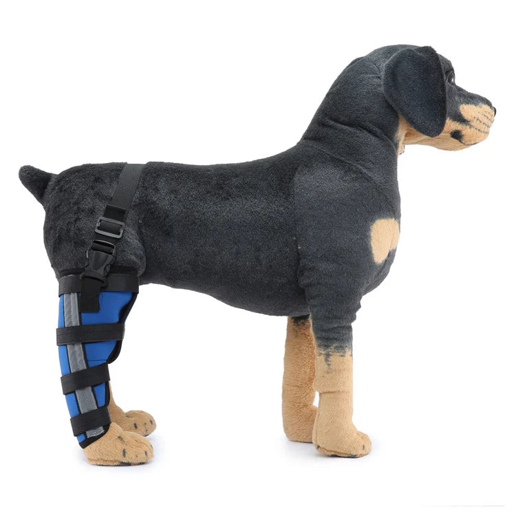 Dog Hind Leg Support Brace Stabilizing Recovery Support