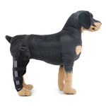 Dog Hind Leg Support Brace Stabilizing Recovery Support