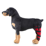 Dog Hind Leg Support Brace Stabilizing Recovery Support
