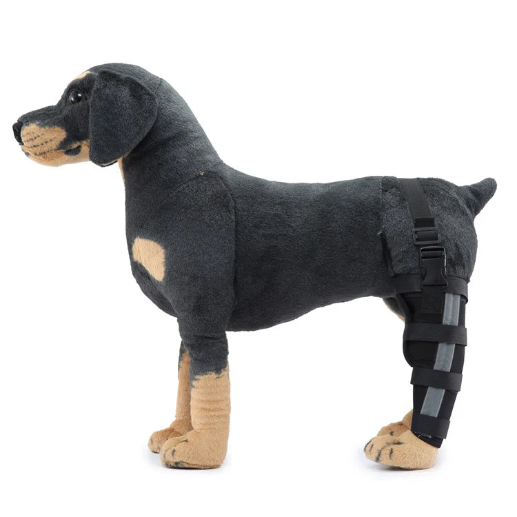 Dog Hind Leg Support Brace Stabilizing Recovery Support