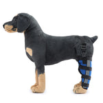 Dog Hind Leg Support Brace Stabilizing Recovery Support