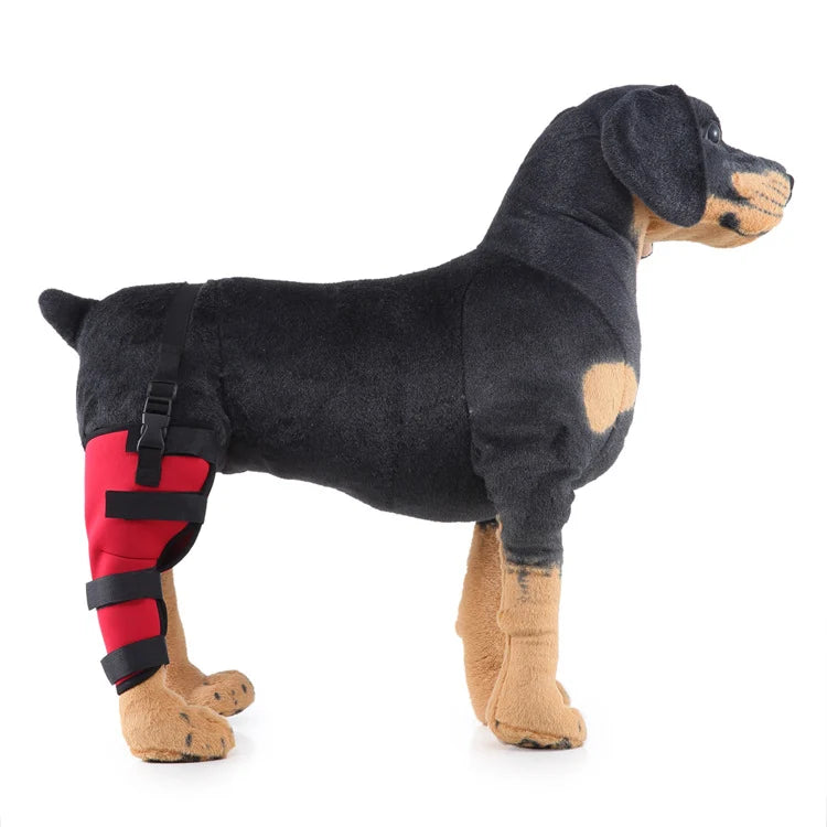 Dog Hind Leg Support Brace Stabilizing Recovery Support