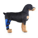 Dog Hind Leg Support Brace Stabilizing Recovery Support