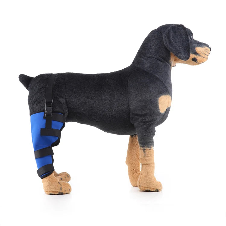 Dog Hind Leg Support Brace Stabilizing Recovery Support