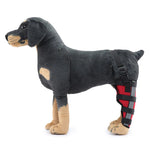 Dog Hind Leg Support Brace Stabilizing Recovery Support
