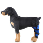 Dog Hind Leg Support Brace Stabilizing Recovery Support