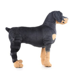 Dog Hind Leg Support Brace Stabilizing Recovery Support