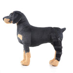 Dog Hind Leg Support Brace Stabilizing Recovery Support
