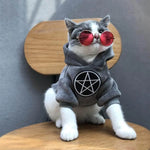 Dog Hoodie 100% Cotton Fall & Winter Wear