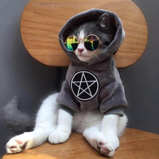 Dog Hoodie 100% Cotton Fall & Winter Wear