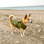 Dog Jacket Integrated Harness Windproof Water-Resistant & Reflective Details