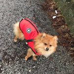 Dog Jacket Integrated Harness Windproof Water-Resistant & Reflective Details