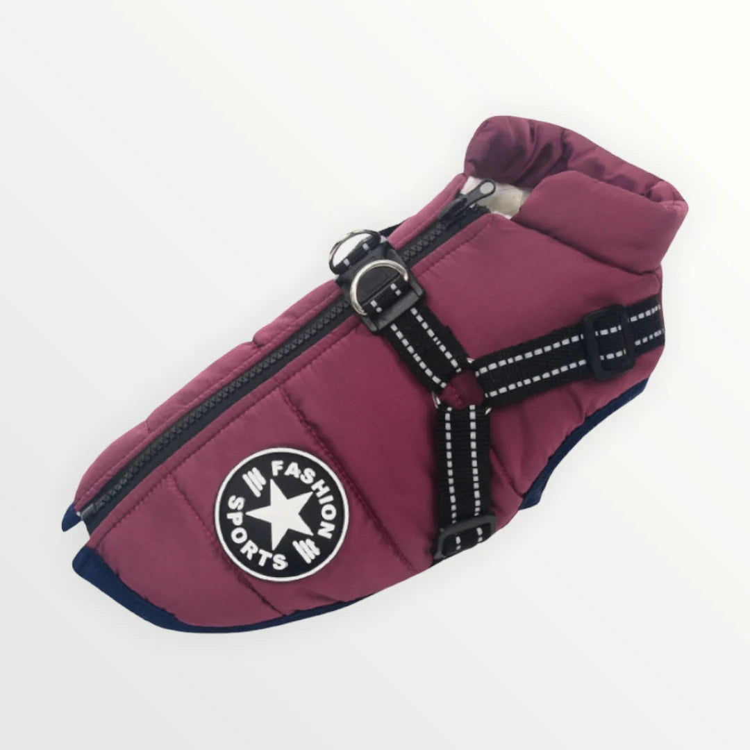 Dog Jacket Integrated Harness Windproof Water-Resistant & Reflective Details