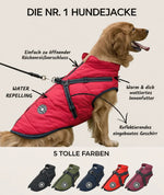 Dog Jacket Integrated Harness Windproof Water-Resistant & Reflective Details
