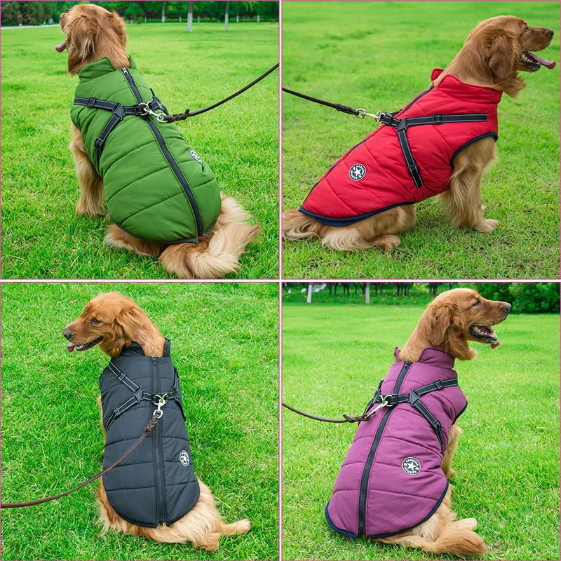 Dog Jacket Integrated Harness Windproof Water-Resistant & Reflective Details