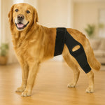 Dog Knee Brace Hind-Leg Support Breathable Lycra Soft Padding