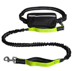 Dog Leash Hands-Free Bungee Dual Shock Absorbers