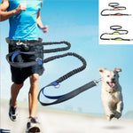 Dog Leash Hands-Free Elastic Bungee with Control Handle
