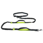 Dog Leash Hands-Free Elastic Bungee with Control Handle
