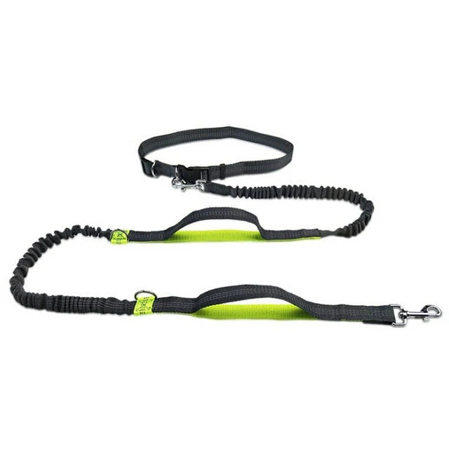 Dog Leash Hands-Free Elastic Bungee with Control Handle