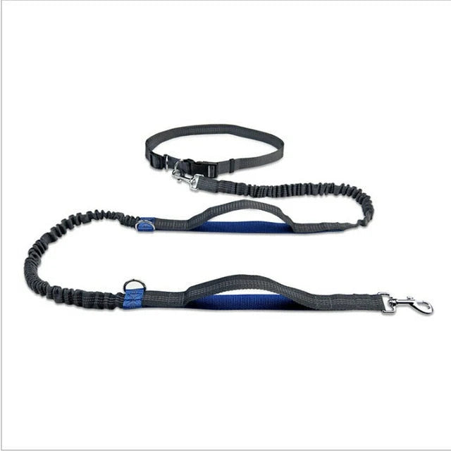 Dog Leash Hands-Free Elastic Bungee with Control Handle