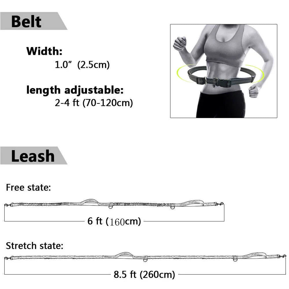 Dog Leash Hands-Free Elastic Bungee with Control Handle
