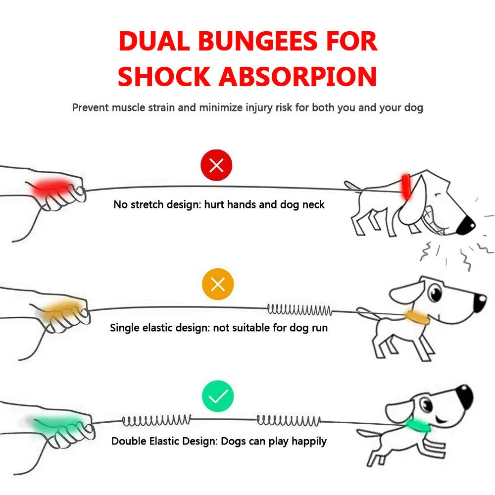 Dog Leash Hands-Free Elastic Bungee with Control Handle