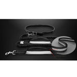 Dog Leash Hands-Free Elastic Bungee with Control Handle