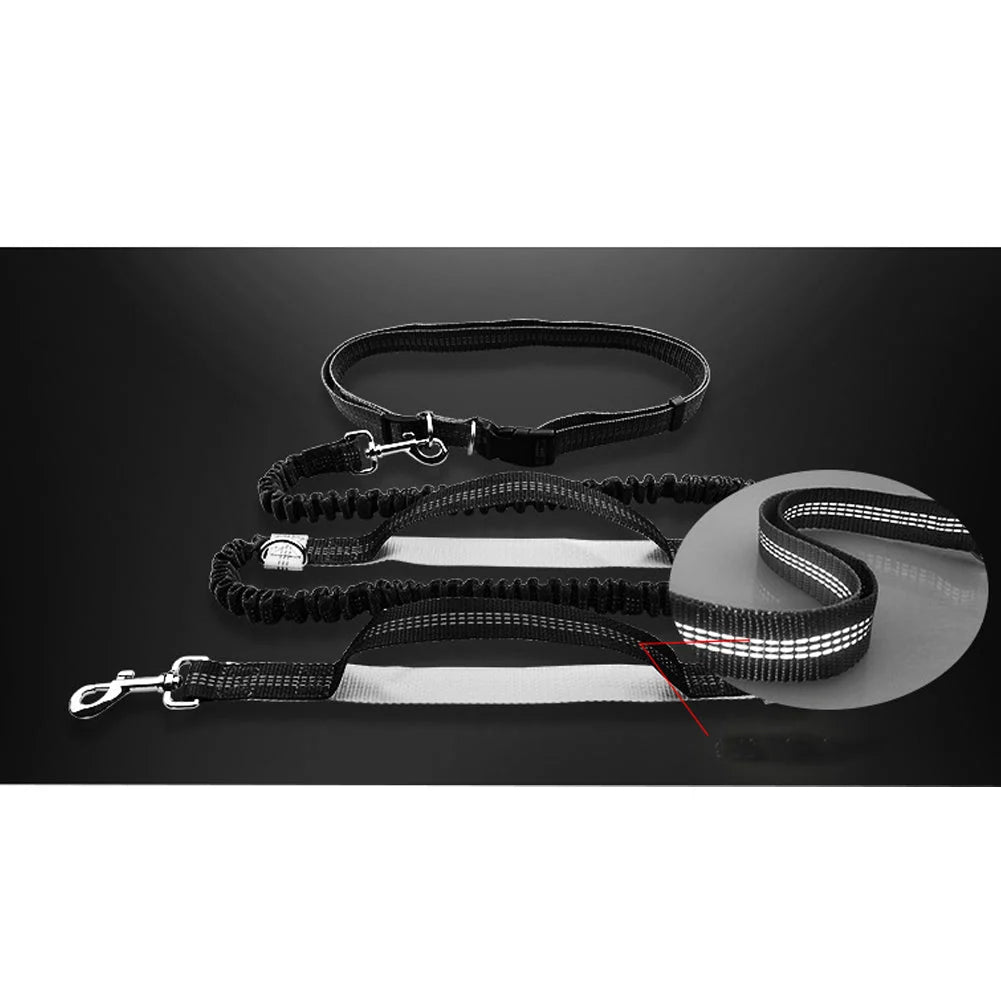Dog Leash Hands-Free Elastic Bungee with Control Handle