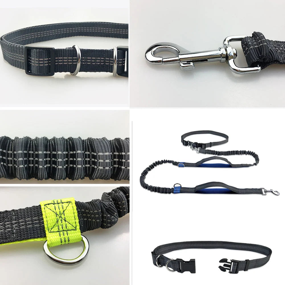 Dog Leash Hands-Free Elastic Bungee with Control Handle