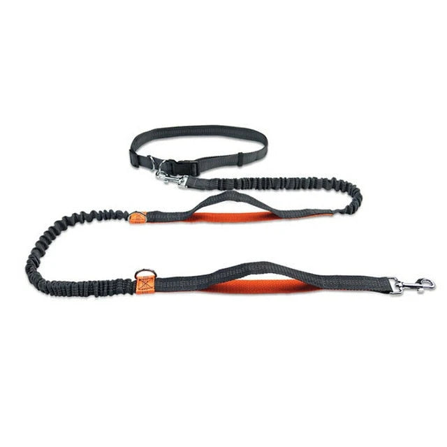 Dog Leash Hands-Free Elastic Bungee with Control Handle