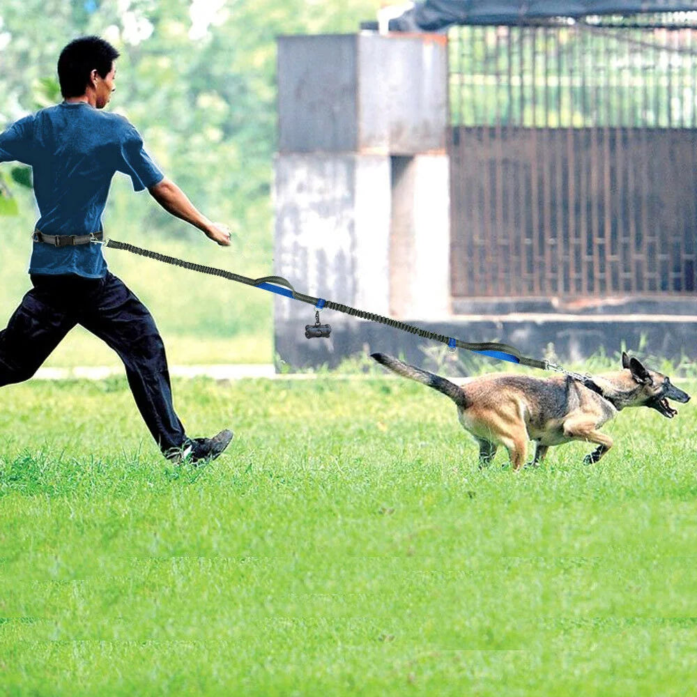 Dog Leash Hands-Free Elastic Bungee with Control Handle