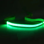 Dog Leash LED Light Reflective USB Rechargeable