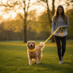 Dog Leash LED Light Reflective USB Rechargeable