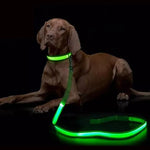 Dog Leash LED Light Reflective USB Rechargeable