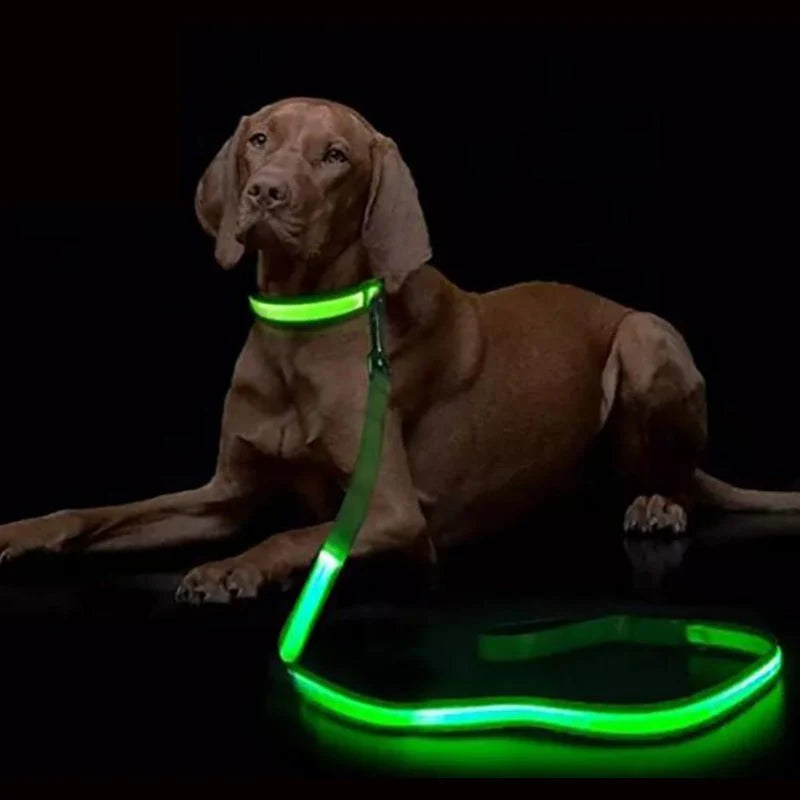 Dog Leash LED Light Reflective USB Rechargeable
