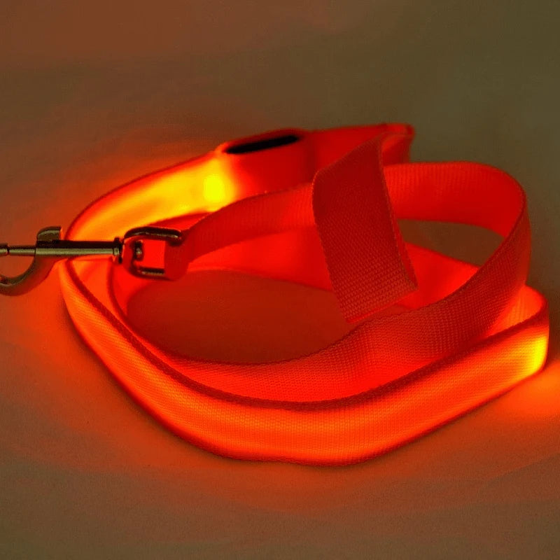 Dog Leash LED Light Reflective USB Rechargeable