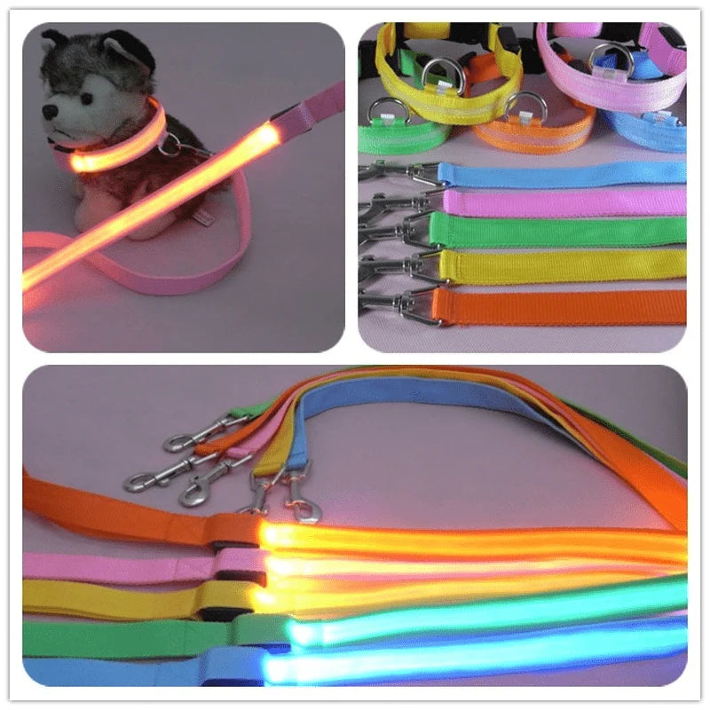 Dog Leash LED Light Reflective USB Rechargeable