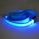 Dog Leash LED Light Reflective USB Rechargeable