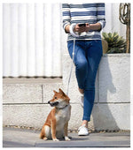 Dog Leash Retractable Ergonomic Ring Grip Rechargeable LED 2.6m