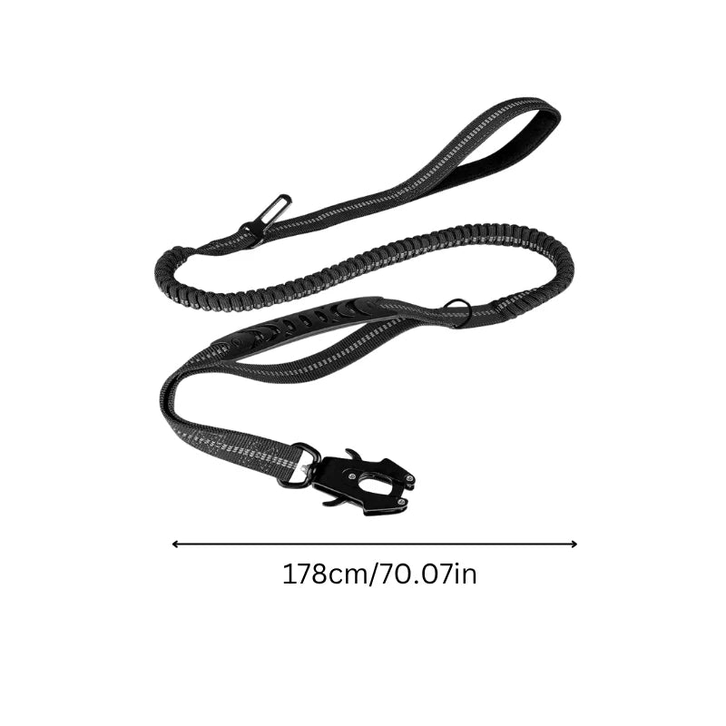 Dog Leash Shock-Absorbing Bungee Reflective Strands Seatbelt Clip