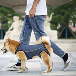 Dog Lift Harness Adjustable Full-Body Padded