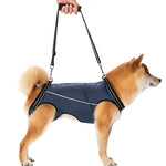 Dog Lift Harness Full-Body Support Padded Breathable Top Handles