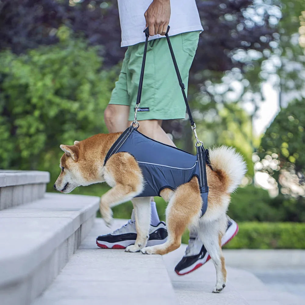 Dog Lift Harness Full-Body Support Padded Breathable Top Handles