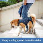 Dog Lift Harness Full-Body Support Padded Breathable Top Handles