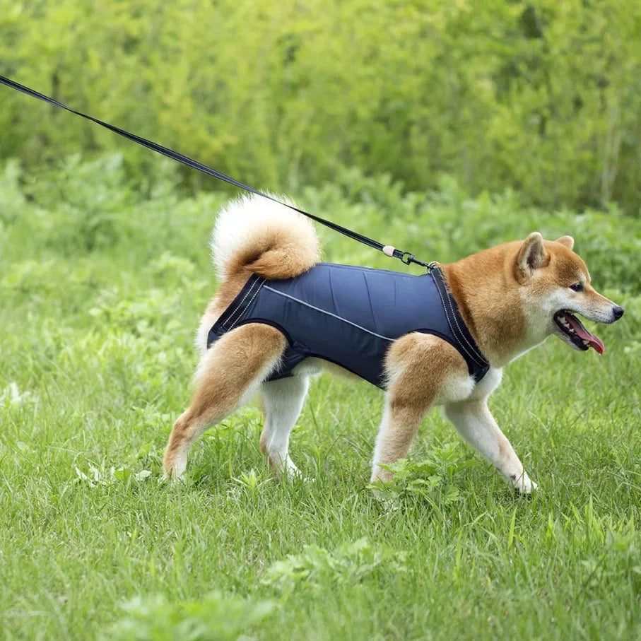 Dog Lift Harness Full-Body Support Padded Breathable Top Handles